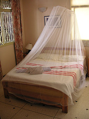 mosquito net by blmurch