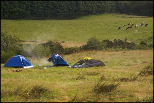 And please, don't burn down your tent in the morning; it's rude.