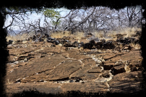 Puako Petroglyph Archaeological Preserve
