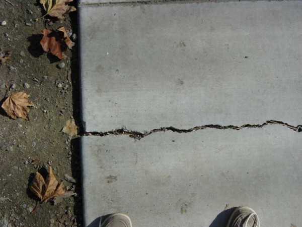 Dsc00027_Offset_Sidewalk[1].jpg