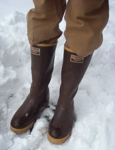 boots 005.jpg boots 005.jpg