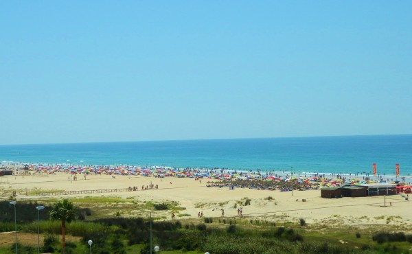 View from the hill in town