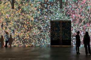 Joslyn Art Museum exhibits Madame Curie by Jennifer Steinkamp