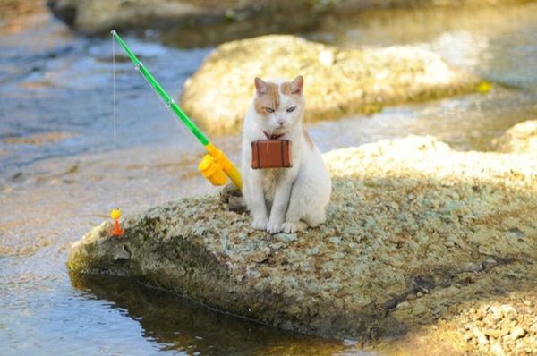 Cats-in-Japan-Fishing