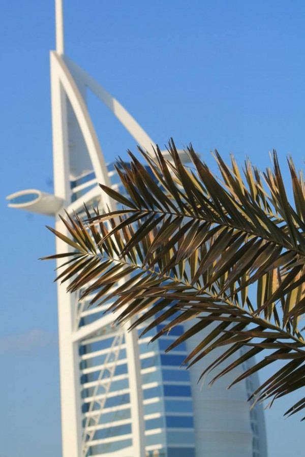 11 Things You Didn't Know About Dubai and the UAE