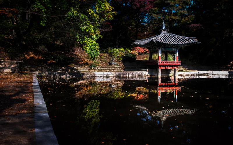The Secret Garden
