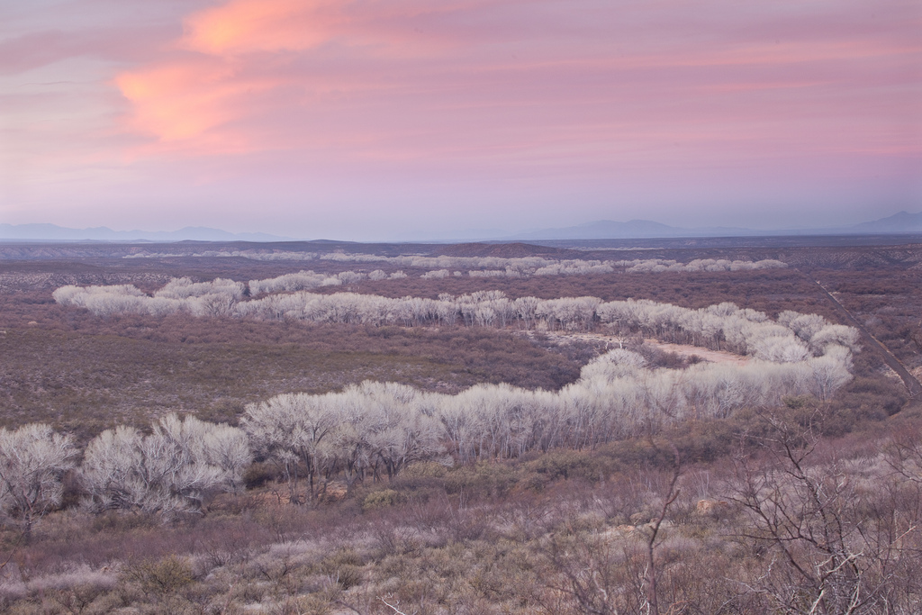 3-san-pedro-cottonwoods-3