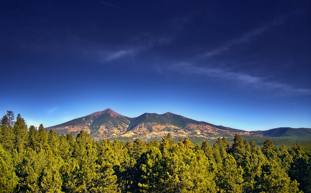 5-ponderosas-arizona-1