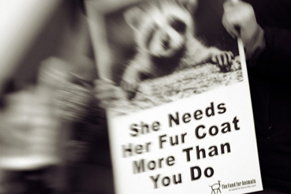 PETA protest poster