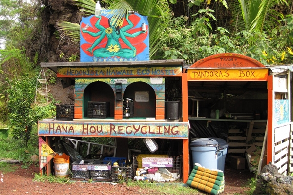 Hedonisia Hawaii