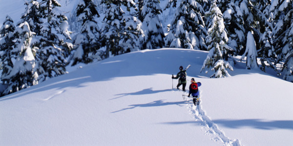 skiing into the backcountry photo