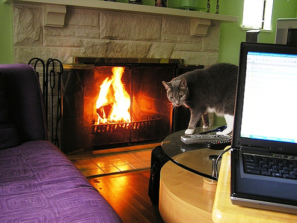 Telecommuting