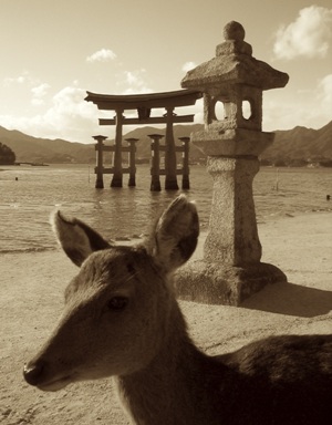 Miyajima, Japan