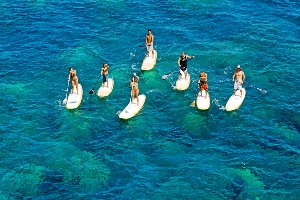 Stand Up Paddleboard