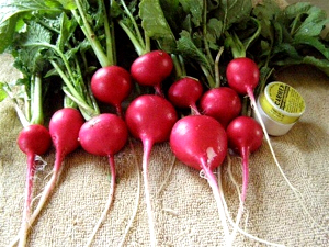 Organic Plants