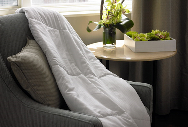Westin Travel Blanket