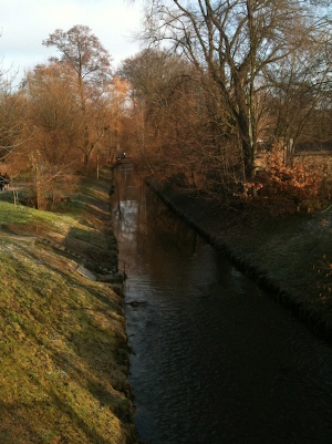 ProCamera on iPhone 3G
