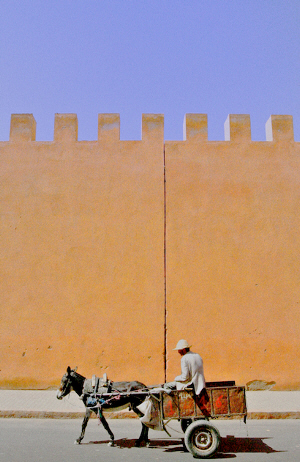 Photography by Paul Sullivan