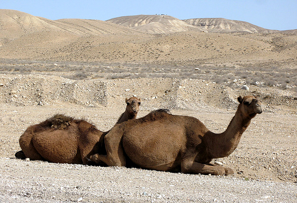 Central Asia