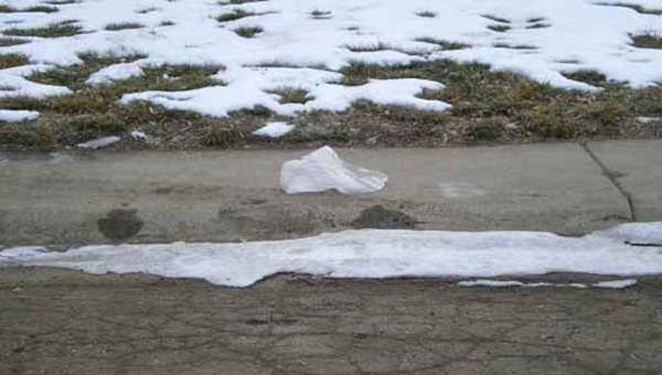 Plastic Bag Litter