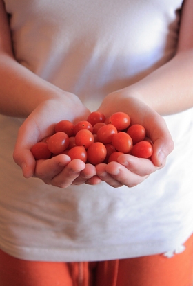 organic food