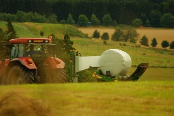 organic food