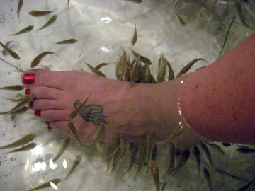 Fish pedicure