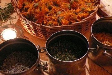 herbal medicine