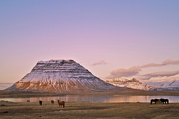 ”Iceland