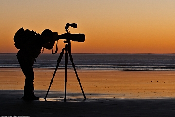 ”silhouette