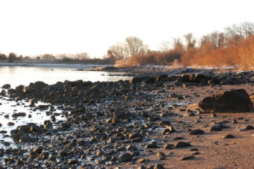Narragansett Bay