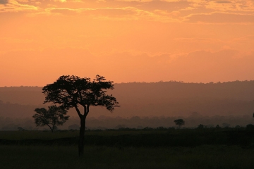 tanzania