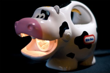 burping cow model