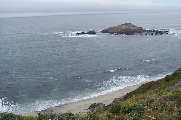 Point Reyes Shoreline