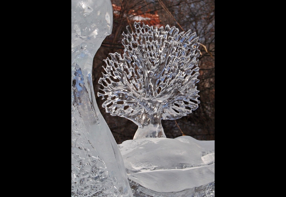 20110116 ice20 24 Ice Sculptures