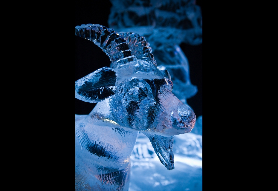 20110116 ice24 24 Ice Sculptures