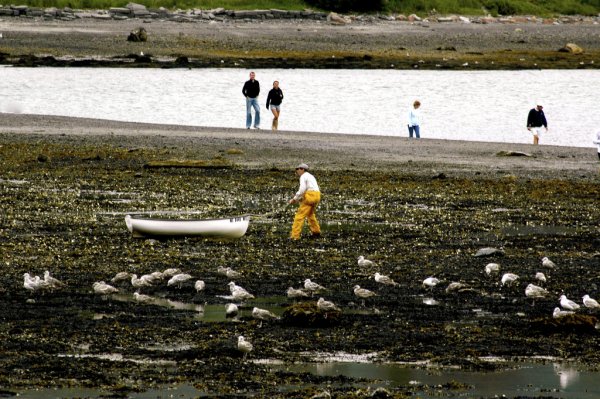 Fisherman pulling a boat across a muddy beach in Maine