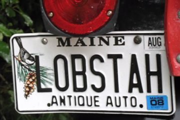Maine lobstah antique license plate