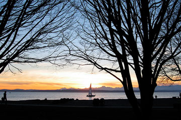 Golden Gardens sunset