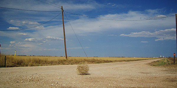 tumbleweed