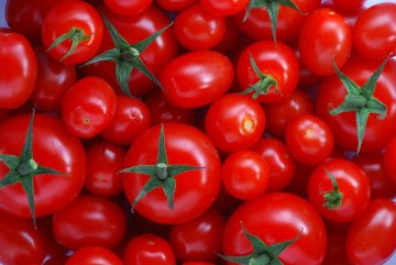 Bright red tomatoes