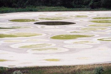 Spotted Lake, British Columbia