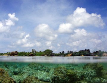 The Maldives at sea level