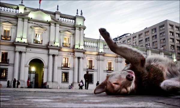 Plaza de la Constitución, Santiago, Chile