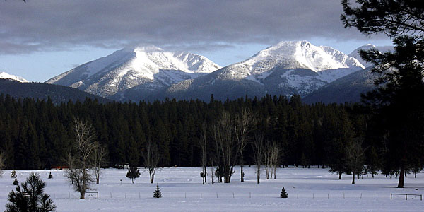 Montana winter