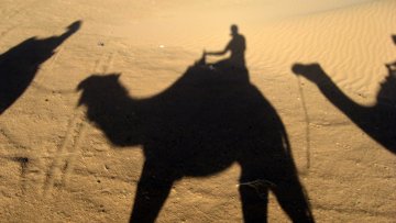 Camel caravan silhouette