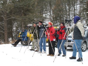 Wolf watchers in Yellowstone