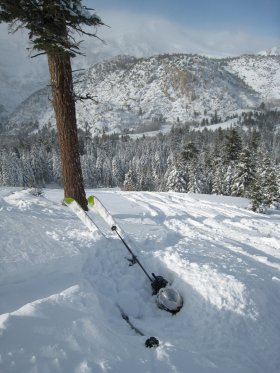 Buried in powder, June Mountain, California