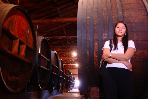 In the winery, Argentina