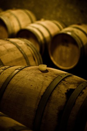 Wine barrels, Argentina